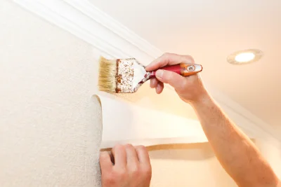 Pose de papier peint à Lhor — revêtements muraux et toiles de verre